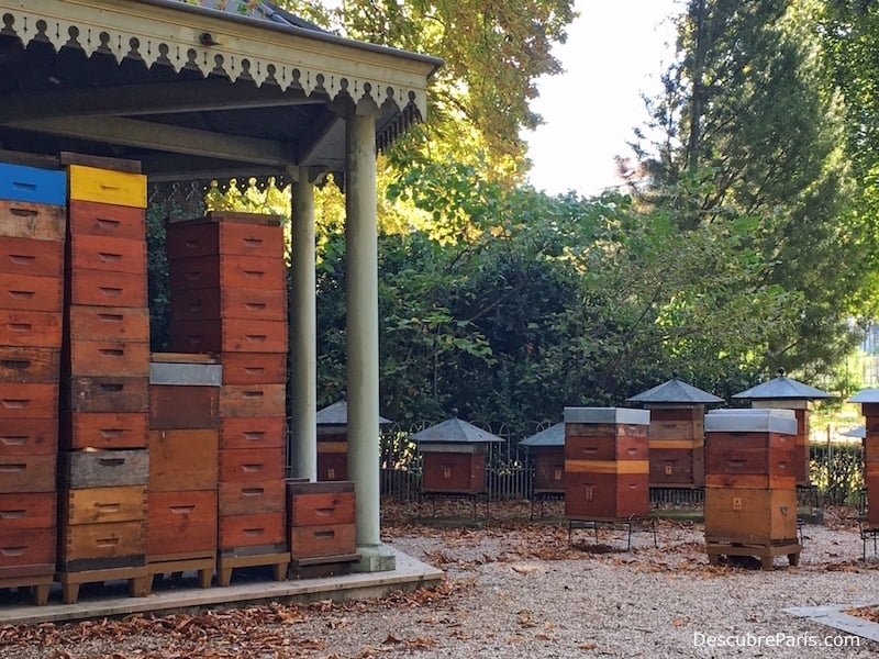 La foto muestra las columnas de colmenares de abejas del Jardin de Luxemburgo de Paris